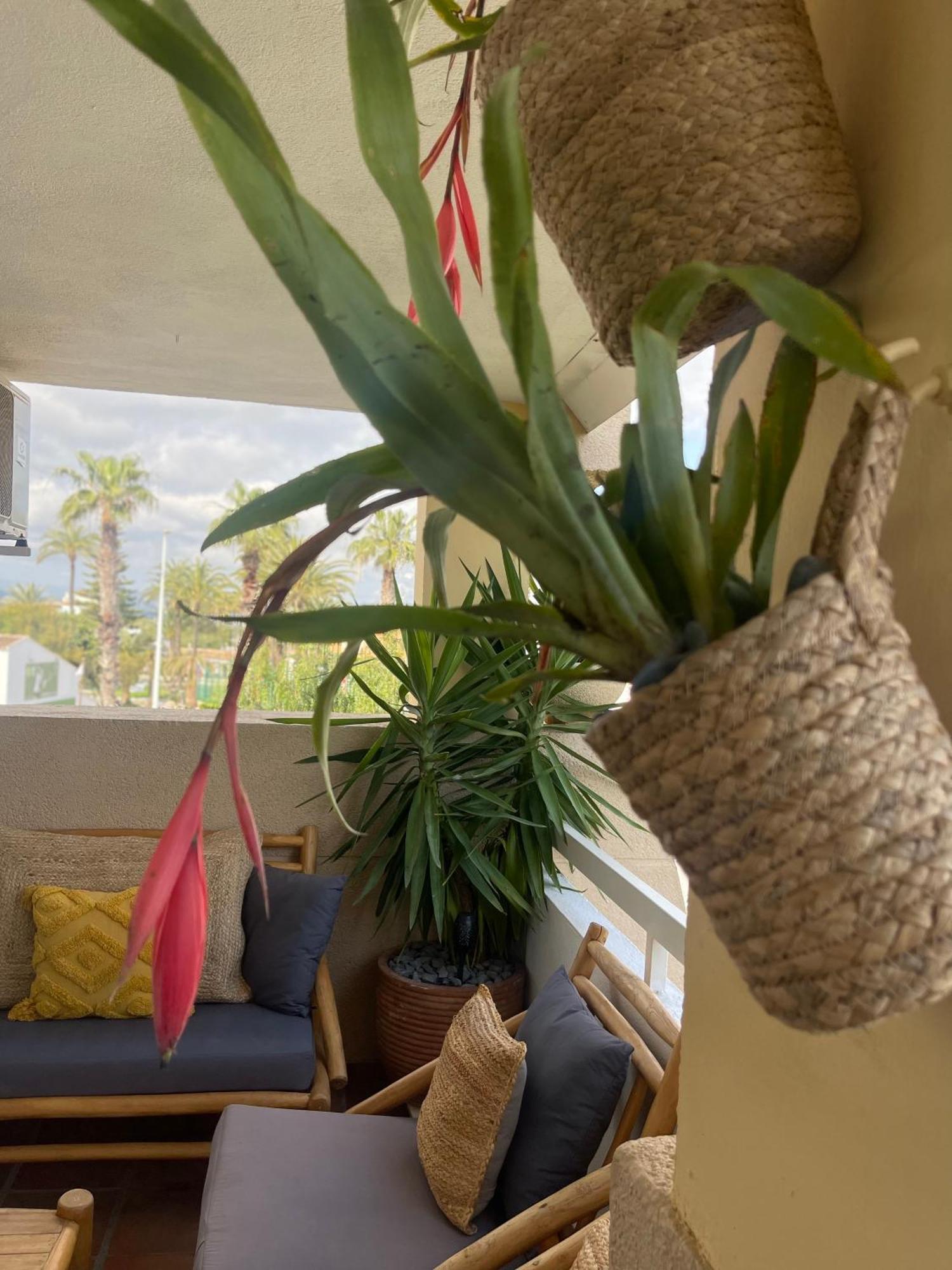 The Beach House Playa Del Arenal Javea - Pool And Garden Steps From The Beach Platja de Larenal Eksteriør billede