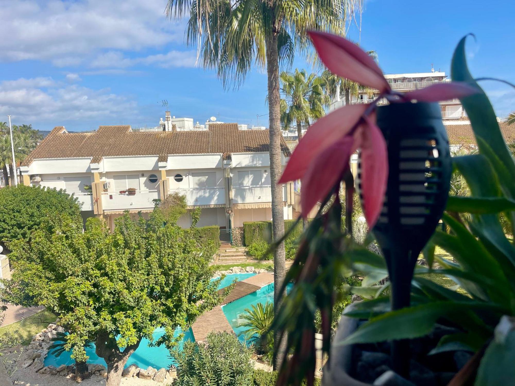 The Beach House Playa Del Arenal Javea - Pool And Garden Steps From The Beach Platja de Larenal Eksteriør billede